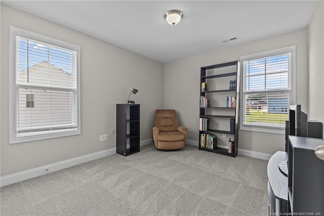 283 Leach Creek Dr, Raeford, NC 28376 - carpeted office space with healthy amount of natural light