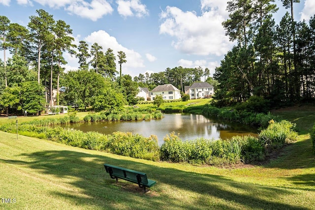515 Wellingham Dr, Durham, NC 27713 - water view with a tree filled landscape
