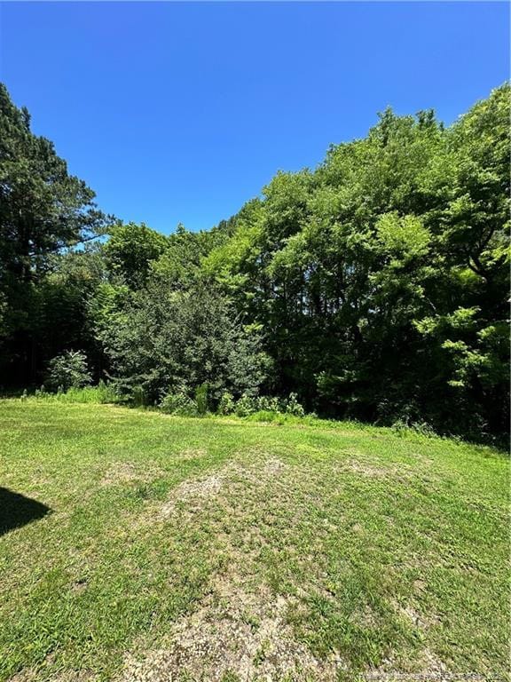 410 W K St, Erwin, NC 28339 - view of yard featuring a wooded view