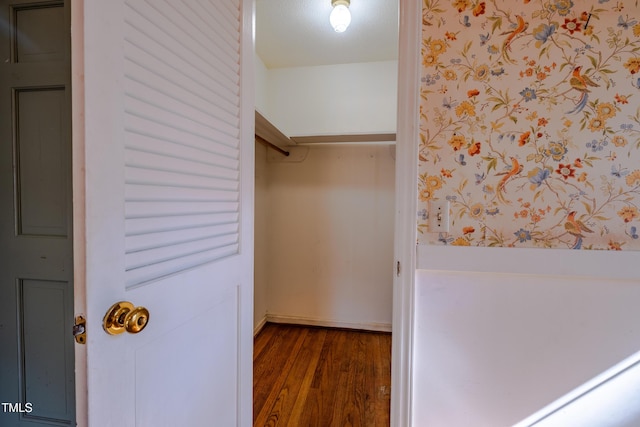 3129 Barwell Rd, Raleigh, NC 27610 - walk in closet with dark wood-style floors