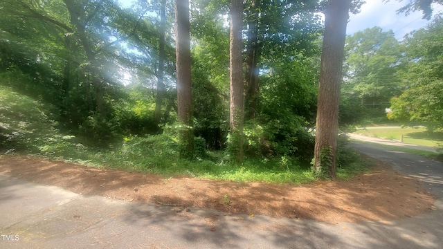 303 Holland Rd, Fuquay Varina, NC 27526 - view of undeveloped land