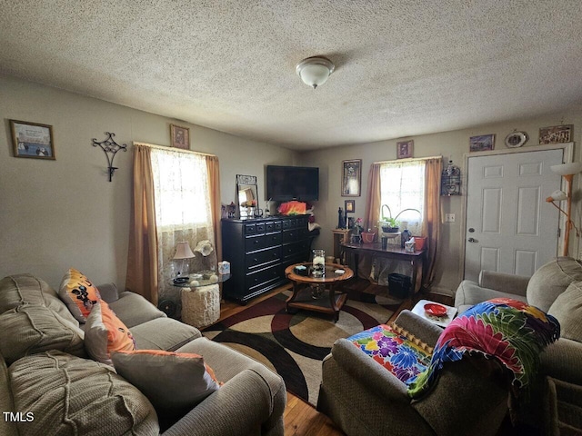 401 S Raleigh St A-B, Unit A-B Angier, NC 27501 - living area featuring wood finished floors and a textured ceiling