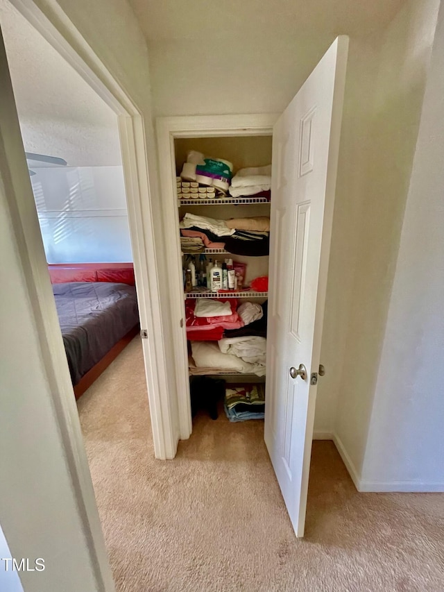 6328 Bermuda Way, Whitsett, NC 27377 - view of closet