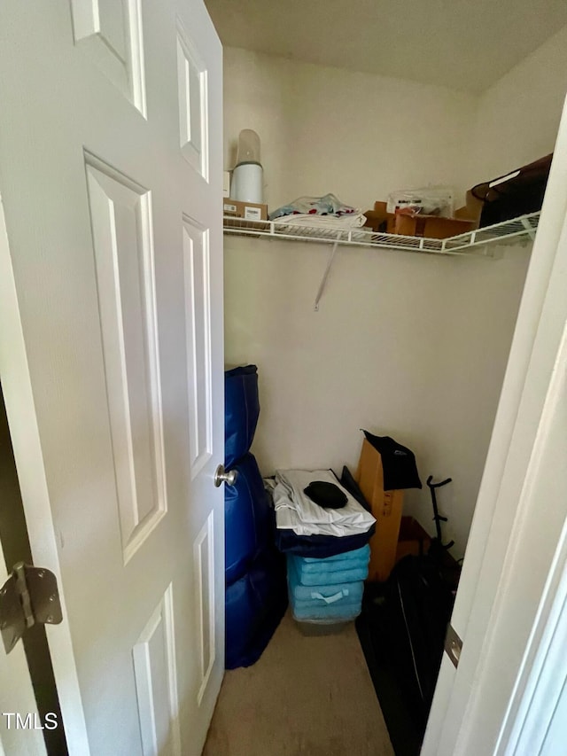 6328 Bermuda Way, Whitsett, NC 27377 - walk in closet with carpet