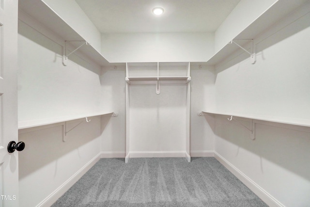 157 Cherrybirch Ln, Zebulon, NC 27597 - spacious closet featuring carpet