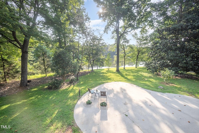 239 Country Club Dr, Durham, NC 27712 - photo 52