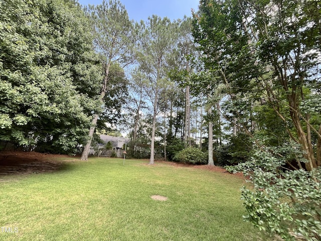 3212 Potthast Ct, Raleigh, NC 27529 - photo 4