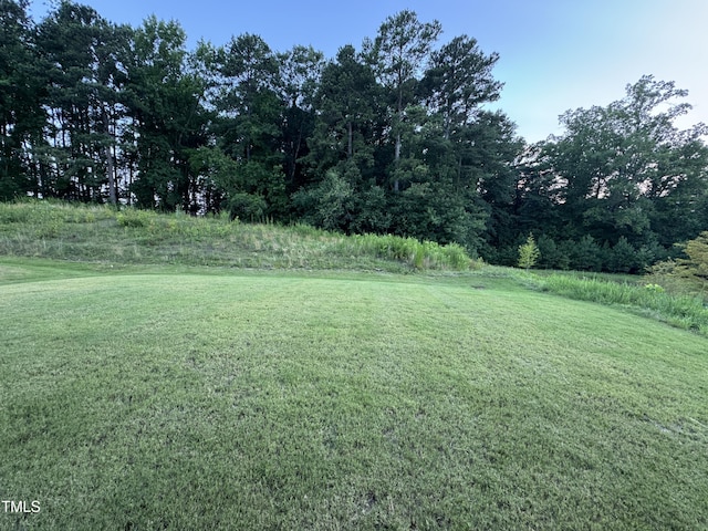 3428 Pinnacle Peak Dr, Raleigh, NC 27604 - photo 23