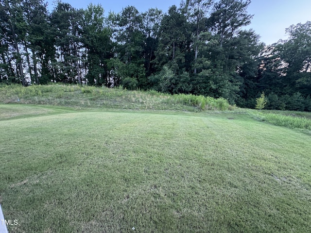3428 Pinnacle Peak Dr, Raleigh, NC 27604 - photo 24