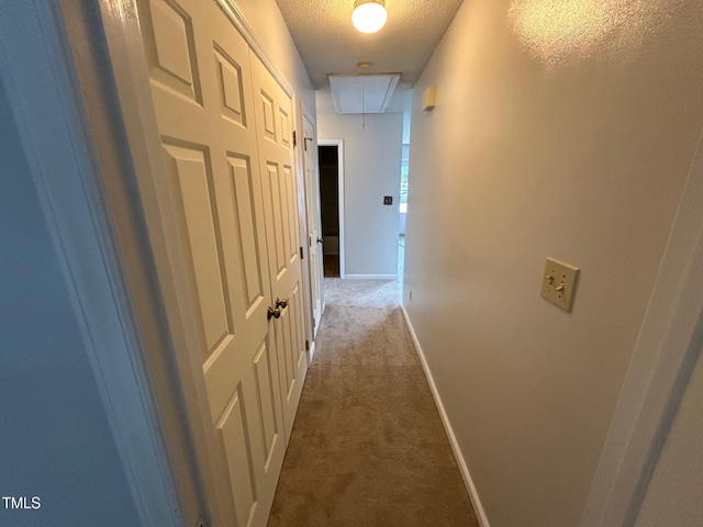 2012 Ranch Mill Cir, Raleigh, NC 27610 - photo 23