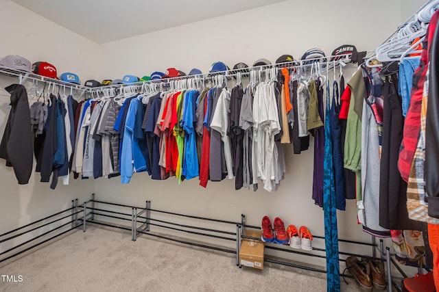 23 Walker Grove Ln, Lillington, NC 27546 - walk in closet featuring carpet floors