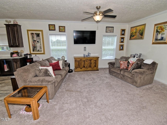 555 Hinnant Rd, Selma, NC 27576 - photo 6