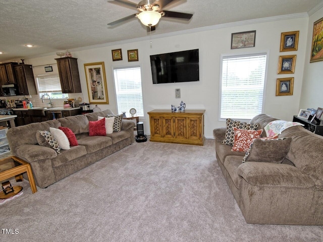 555 Hinnant Rd, Selma, NC 27576 - photo 7