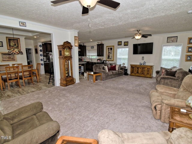 555 Hinnant Rd, Selma, NC 27576 - photo 9