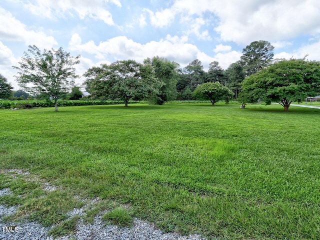 555 Hinnant Rd, Selma, NC 27576 - photo 21