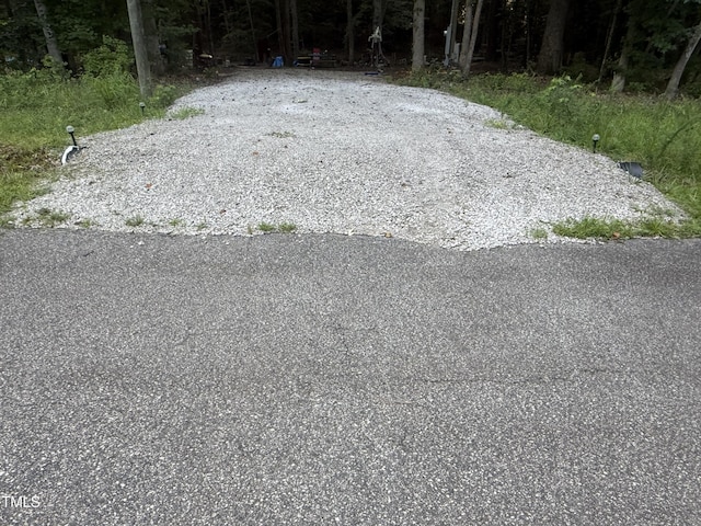 141 Chama Dr, Spring Hope, NC 27882 - photo 2
