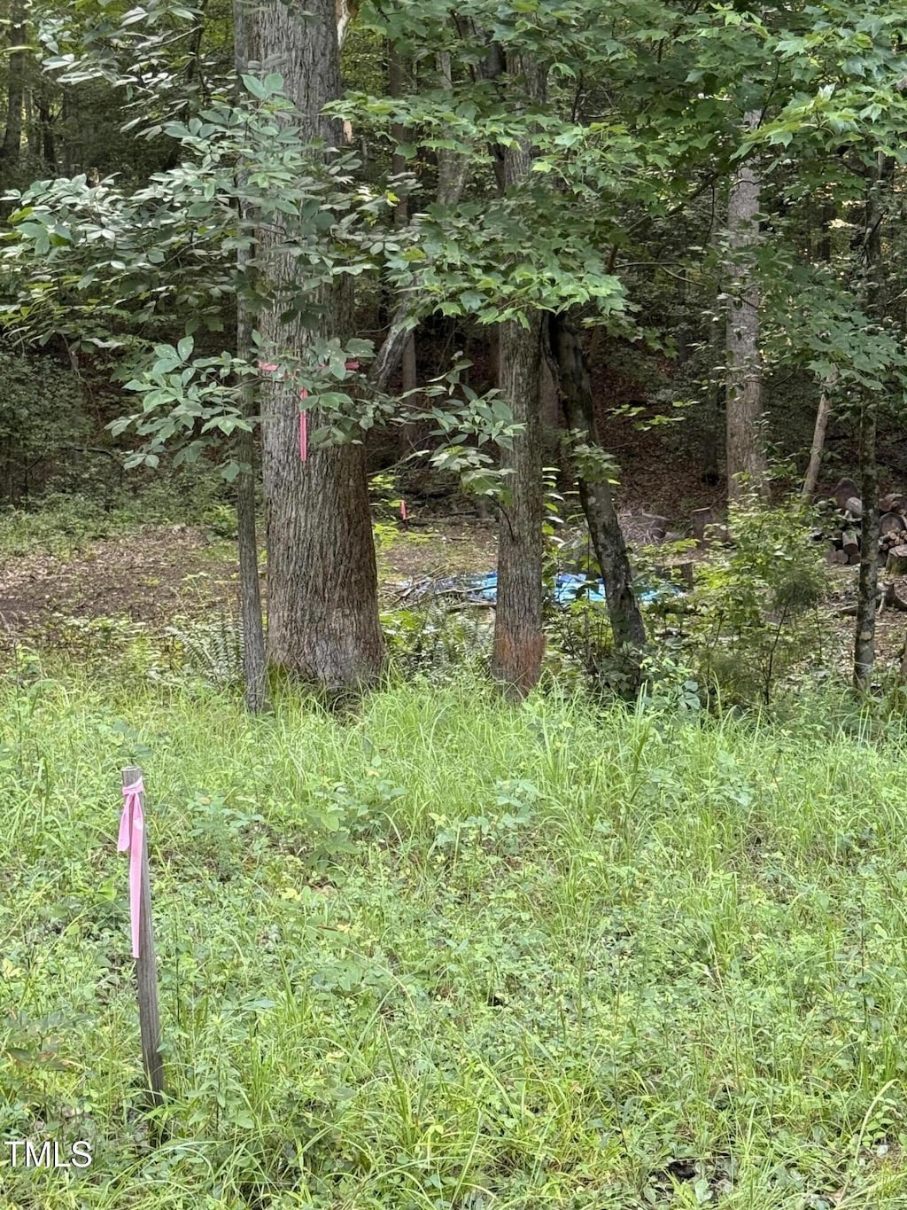 141 Chama Dr, Spring Hope, NC 27882 - photo 4