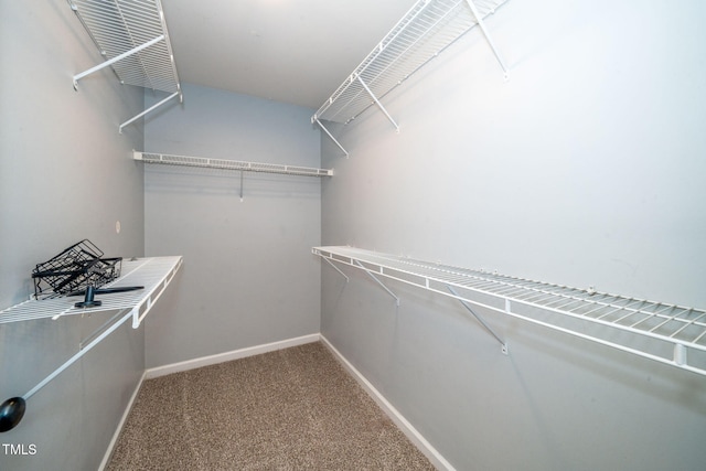 7226 Corvette Ct, Raleigh, NC 27613 - spacious closet with carpet floors