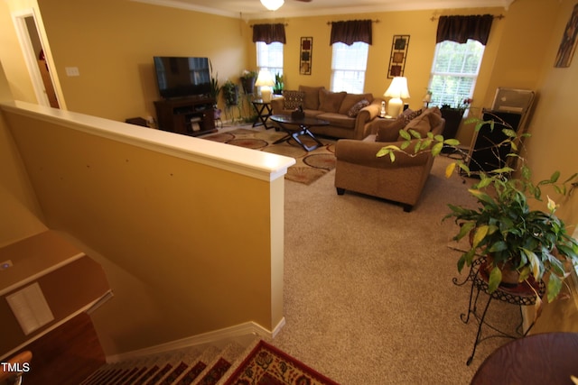 5456 Thunderidge Dr, Raleigh, NC 27610 - photo 19