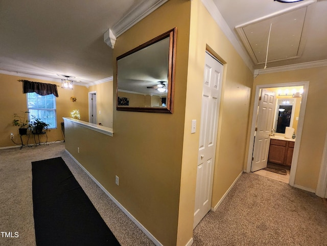 5456 Thunderidge Dr, Raleigh, NC 27610 - photo 32