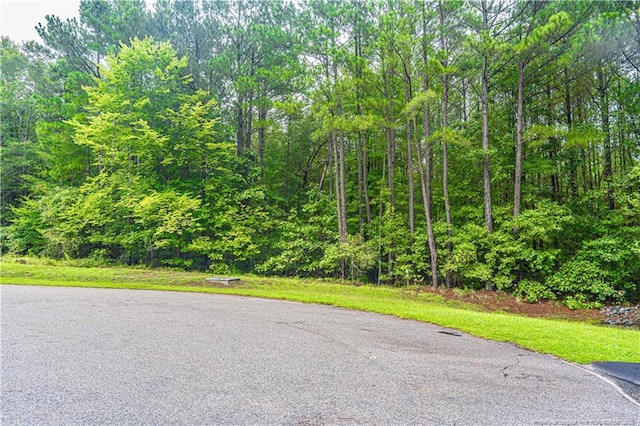 LOT54 N State Ln, Rockingham, NC 28379