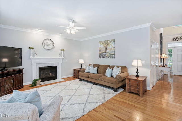 2608 Forestbluff Dr, Fuquay Varina, NC 27526 - living room featuring wood finished floors, a ceiling fan, crown molding, and a fireplace