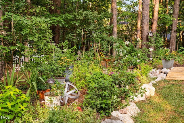 2608 Forestbluff Dr, Fuquay Varina, NC 27526 - view of yard
