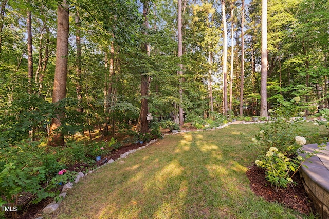 2608 Forestbluff Dr, Fuquay Varina, NC 27526 - view of green lawn