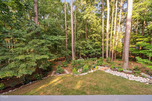 2608 Forestbluff Dr, Fuquay Varina, NC 27526 - view of green lawn