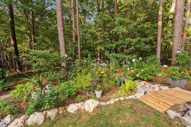 2608 Forestbluff Dr, Fuquay Varina, NC 27526 - view of yard