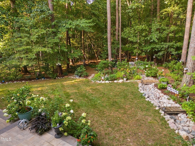 2608 Forestbluff Dr, Fuquay Varina, NC 27526 - view of grassy yard