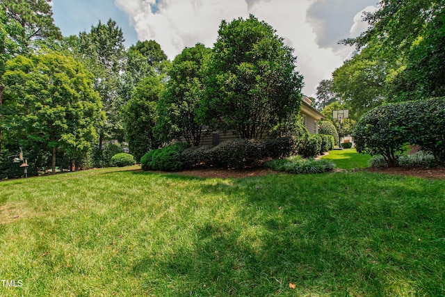 4517 Gates St, Raleigh, NC 27609 - photo 61