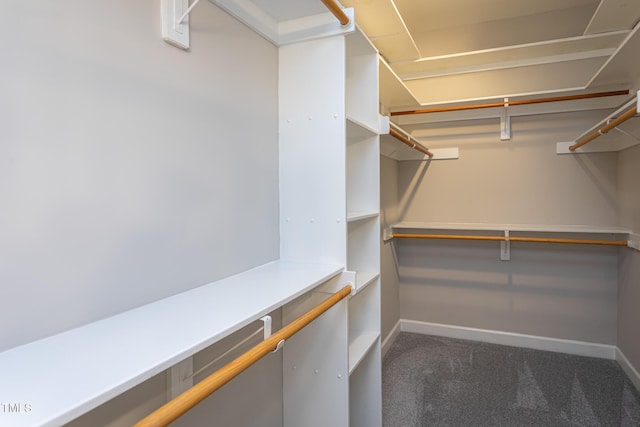 900 Stonecutter Ct, Raleigh, NC 27614 - spacious closet featuring carpet