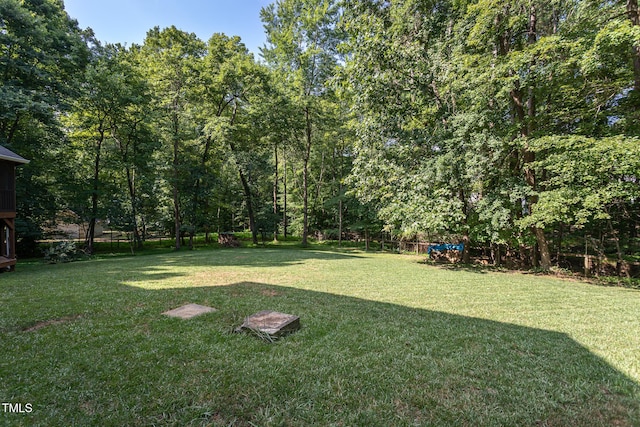 900 Stonecutter Ct, Raleigh, NC 27614 - view of green lawn