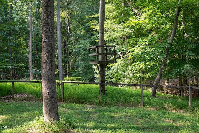 900 Stonecutter Ct, Raleigh, NC 27614 - view of yard with a forest view