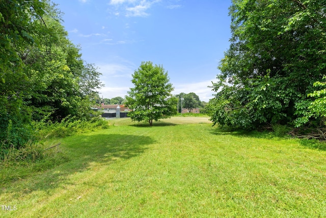 213 W Holt St, Burlington, NC 27217 - photo 43