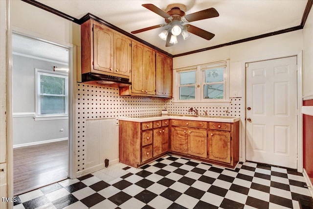 607 E Geer St, Durham, NC 27701 - kitchen featuring dark floors, ornamental molding, under cabinet range hood, light countertops, and a ceiling fan
