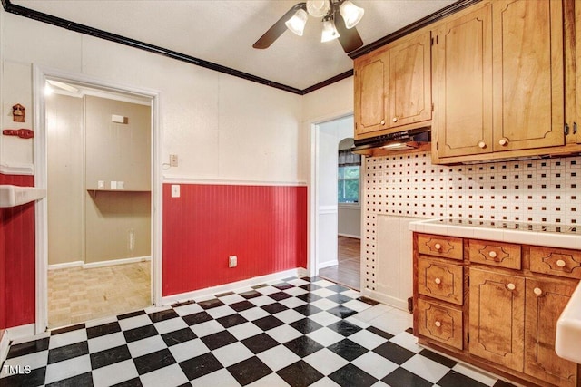 607 E Geer St, Durham, NC 27701 - kitchen with dark flooring, under cabinet range hood, a ceiling fan, crown molding, and tile counters