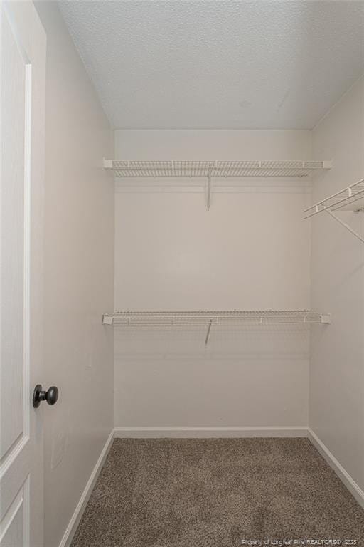 1673 Sykes Pond Rd, Fayetteville, NC 28304 - photo 29