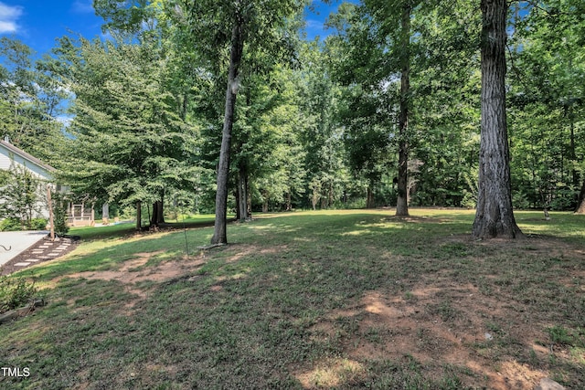 211 Camille Cir, Youngsville, NC 27596 - view of green lawn
