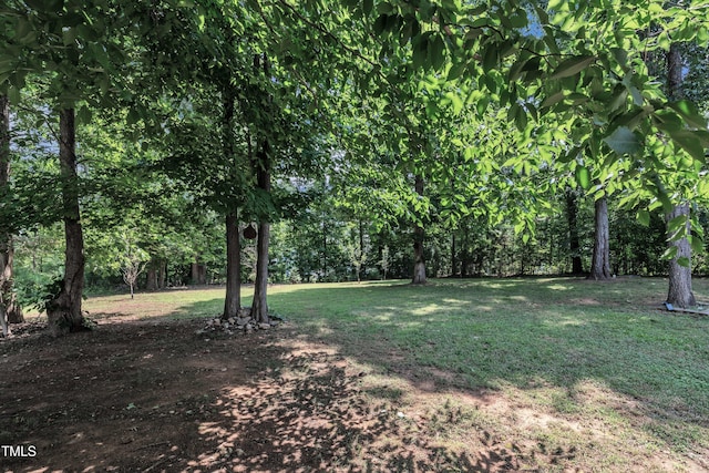 211 Camille Cir, Youngsville, NC 27596 - view of green lawn