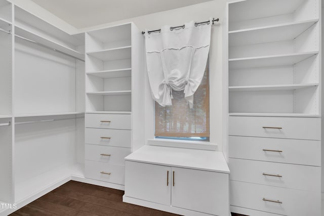 211 Camille Cir, Youngsville, NC 27596 - spacious closet featuring dark wood-style flooring