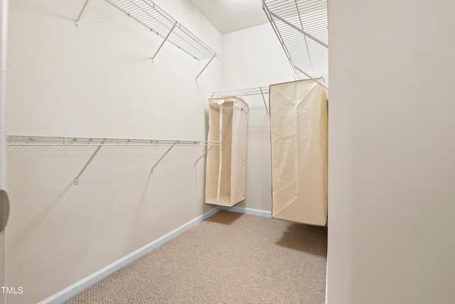 325 Currituck Ln, Durham, NC 27703 - walk in closet with carpet floors