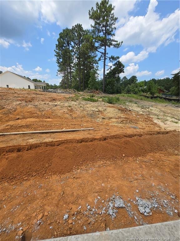 46 Poplar Dr, Spring Lake, NC 28390 - photo 5