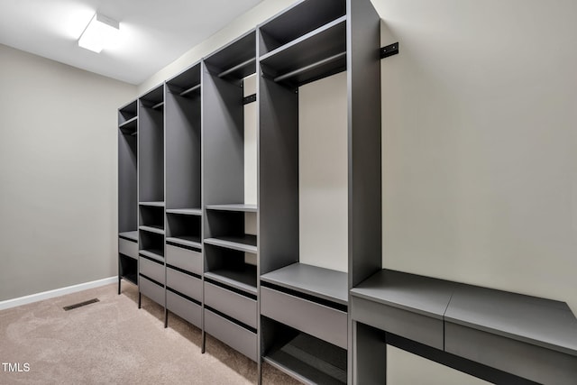 401 Summit Trail Dr, Hillsborough, NC 27278 - walk in closet with light carpet
