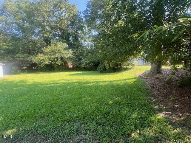 331 E Lillington St, Angier, NC 27501 - photo 21