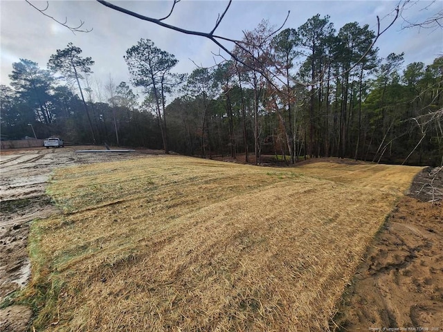 504 Porter Rd, Hope Mills, NC 28348 - photo 4