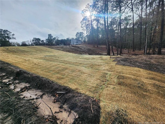 504 Porter Rd, Hope Mills, NC 28348 - photo 8