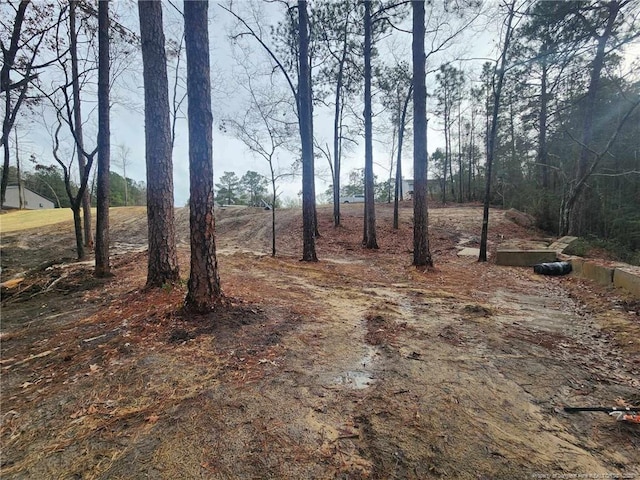 504 Porter Rd, Hope Mills, NC 28348 - photo 7