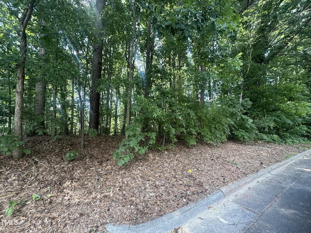 1500 Ridgeway Ave, Durham, NC 27701 - photo 1